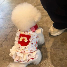 Abbigliamento per animali domestici: gatti e cani di piccola taglia, primavera/autunno