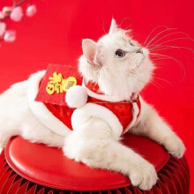 Abbigliamento per animali domestici: gatti e cani di piccola taglia, primavera/autunno