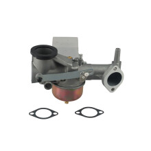 Carburateur pour moteurs 191700/192700/193700 491590