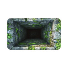 Front Door Mat 3D Optical Illusion 50x80 cm