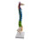 Colored Human Spine Skeleton Model with Stand and Pelvis 2