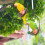 Weatherproof Resin Parakeet Tree Ornament 1 piece 3