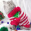 Pull de Noël rayé pour chat, tricot doux et chaud pour chats 2