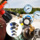 Air Hose Quick-Connect Fittings Set 16 pcs 6