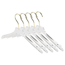 30 Pcs Clear Clothes Hangers with Gold Hook, Transparent Shirts Dress Coat Hanger with Notches for Lady Kids Small