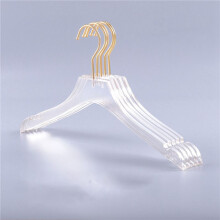 20 Pcs Clear Clothes Hangers with Gold Hook, Transparent Shirts Dress Coat Hanger with Notches for Lady Kids Small