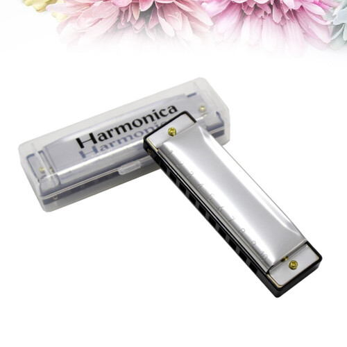 Diatonic Harmonica Blues Harp Swan 10 Hole Silver