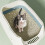 Cat Litter Box with Lid Splash-Proof Enclosed Tray and 6