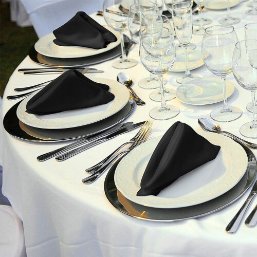 Cloth Square Satin Napkins 12 Pcs 50 cm 2