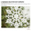 Christmas Ceiling Ornaments White Plastic 5 pcs 6.3 x 6.3 x 8