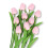 Τεχνητά Λουλούδια Tulip Real Touch 12 τεμάχια 8