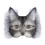 Winddicht ademend motormasker DIY kattenset 2
