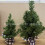 Mini Christmas Tree Artificial 16 Inch Green Pine Table 6