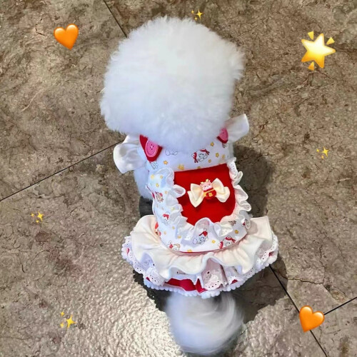 Vêtements pour chats et petits chiens - Printemps/Automne 2