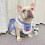 Pet Clothes for Cats and Small Dogs Spring Autumn 2