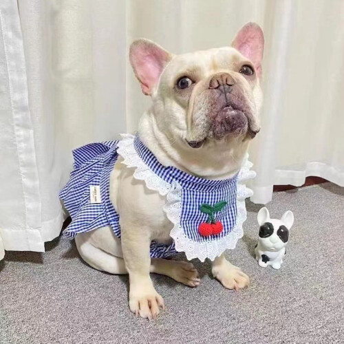 Pet Clothes for Cats and Small Dogs Spring Autumn 1
