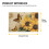 Ensemble de 4 sets de table Tournesol Papillon 30 x 45 cm 5