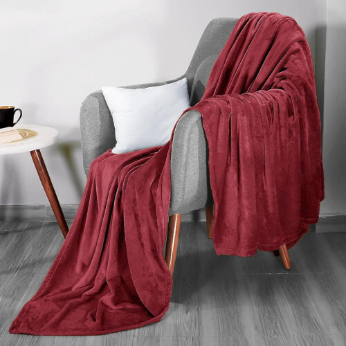 Grey Fleece Throw Blanket 40x60 inch Soft Plush Microfiber 1