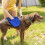 Dog Towels Microfiber Chenille 25x9 Inch 4