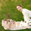 Portable Diaper Caddy with Removable Dividers 8