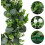Artificial Eucalyptus Wreath 17 Inch Green with White 4