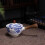 Ceramic Gongfu Tea Set with Wooden Handle Portable Teapot 1