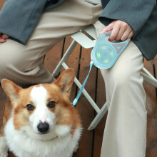 LED-Hundeleine mit Licht (1 Stück)