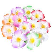 Plumeria Hair Clips Hawaiian Style 12 pcs