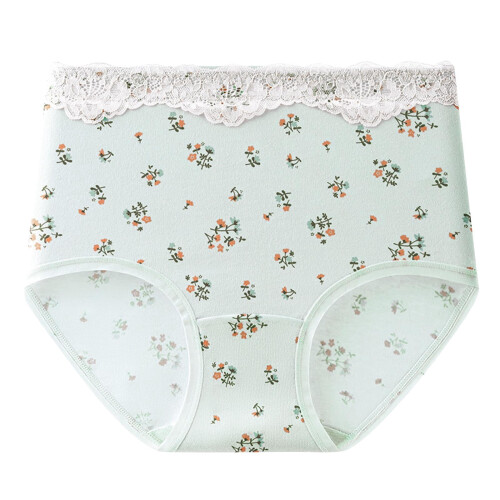 Women's High Waist Cotton Floral Briefs Full Coverage