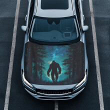 Film de protection de capot Green Galaxy Gorilla pour voiture, taille universelle