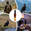 Crow Call Whistle Portable Realistic Sound 1pc 6