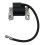 Ignition Coil Replacement for Models 590455 793354 799382 1