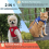 Cat Harness and Leash Set Adjustable Soft Mesh Vest with 5