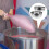 Commercial Cotton Candy Maker Basin Stainless Steel Silver 1