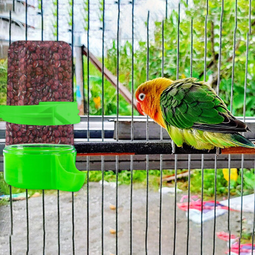 Automatic Bird Feeder and Water Dispenser Plastic Clip