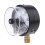 Vacuum Gauge Pressure Controller YXC-100 4