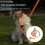 Reflective Cat Leash for Walking 7