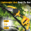 Cordless Pole Saw and Mini Chainsaw 6 Inch Extendable 3