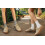 Women's Ankle Socks Cotton Lace Trim Medium 5