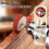 Polishing Buffing Wheel Kit Felt Wool Pads 237 pcs 6