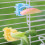 Plastic Bird Feeder Clips for Cage Fruits Vegetables 6
