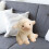Soft Stuffed Lamb Doll Veterinary-Safe 1 Piece 7