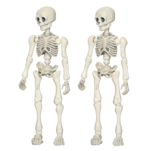 12 Inch Posable Anatomical Skeleton Model with Movable 1