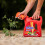 Westland Resolva Path & Drive WK 3L Weedkiller for Paths & Driveways 2