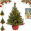 Pre-Lit Tabletop Christmas Tree Warm White LED PVC PE Tips 1
