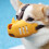 Dog Muzzle Silicone Breathable Comfortable Outdoor Use 2