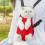 Celery Pets Pet Travel Backpack Beige Medium 6