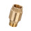 Brass Check Fitting Corrosion Resistant 1 Piece 1