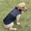 Reflective Waterproof Dog Coat Winter Warm Small Medium 4