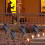 Halloween Crow Ornament Black Plastic 1 Piece 6
